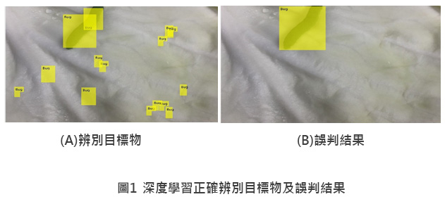 度學習正確辨別目標物及誤判結果