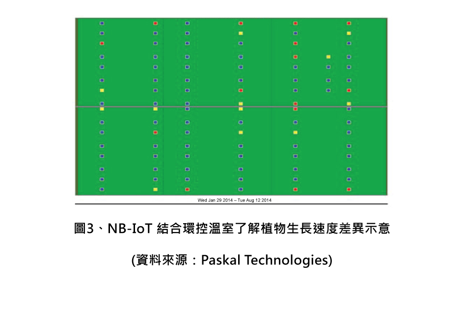 圖3、NB-IoT 結合環控溫室了解植物生長速度差異示意