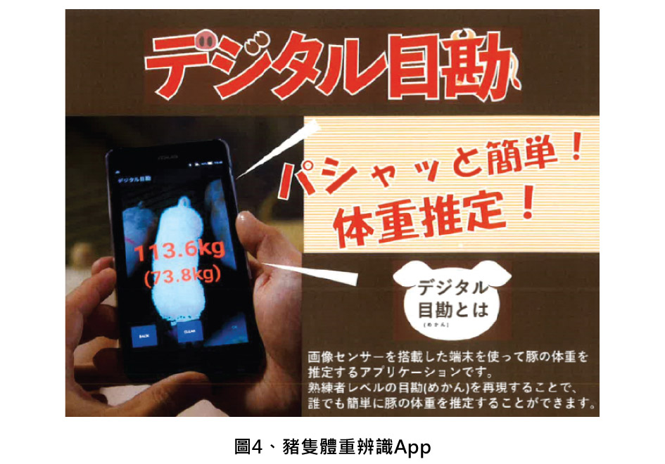 圖4、豬隻體重辨識App