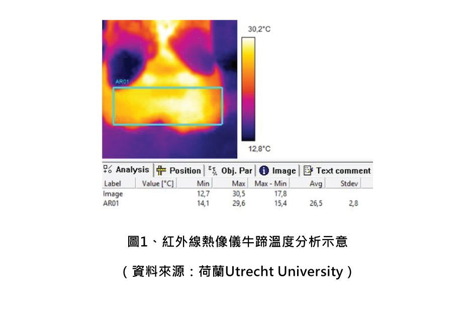 圖1、紅外線熱像儀牛蹄溫度分析示意
