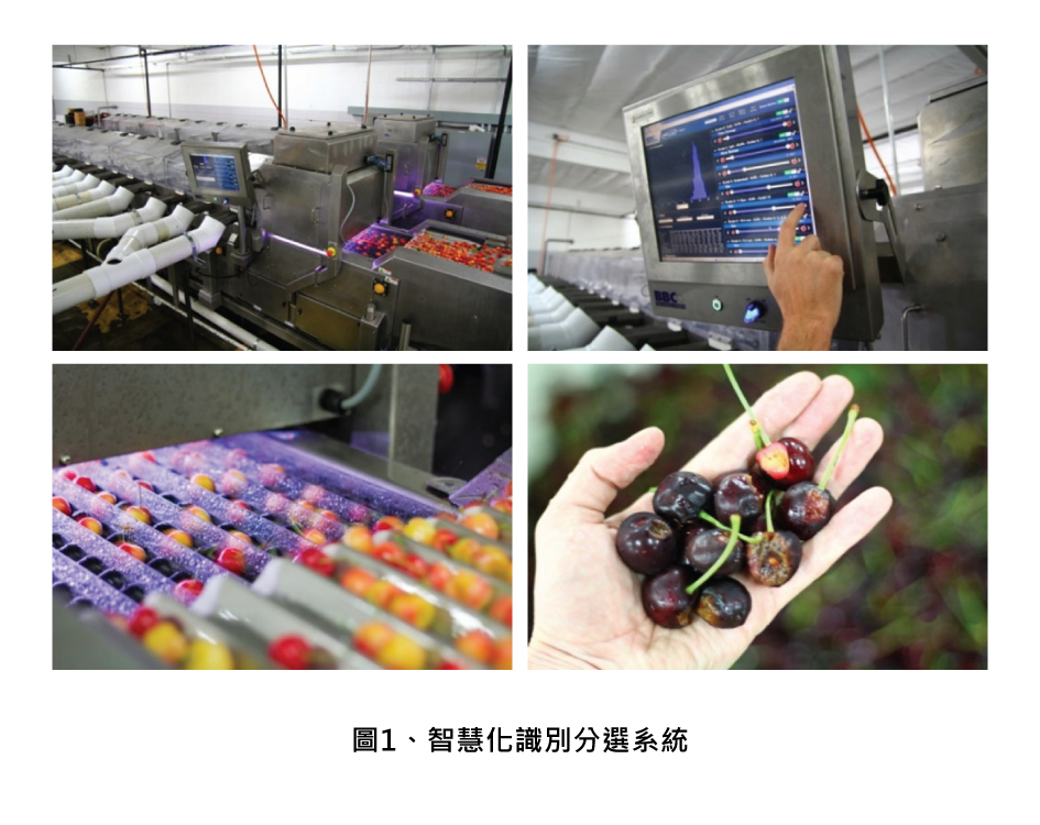 智慧化識別分選系統