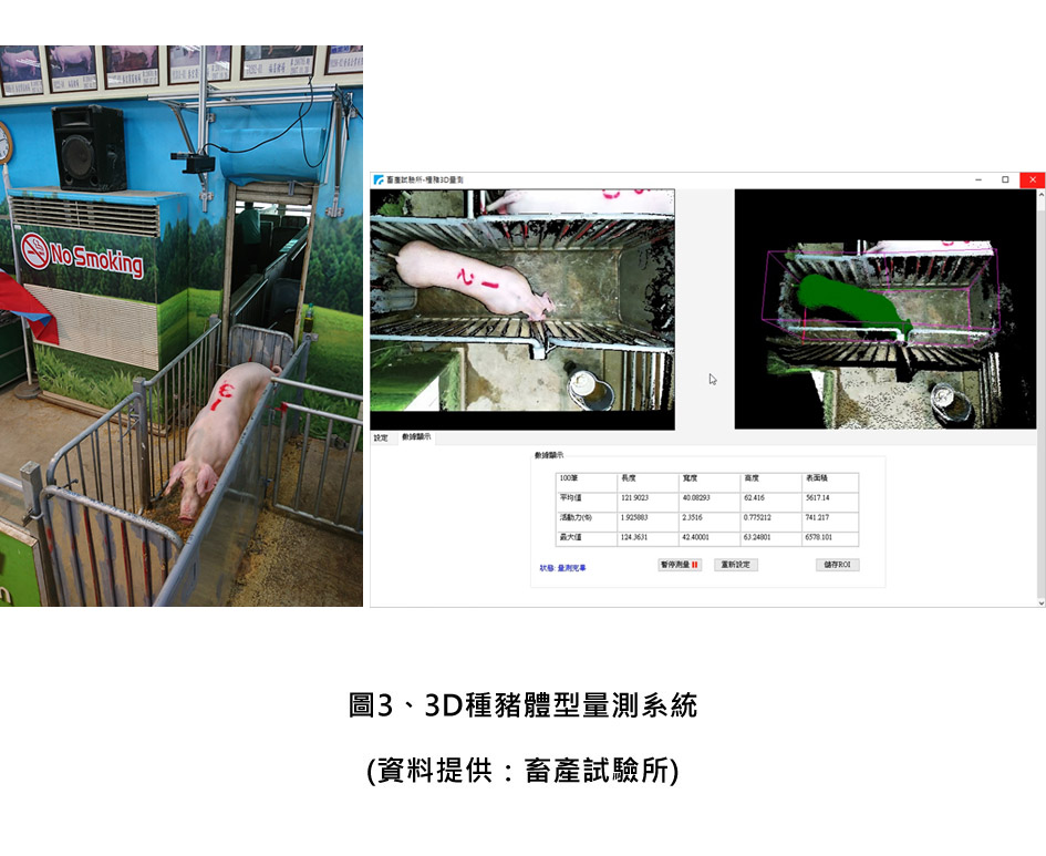 3D種豬體型量測系統