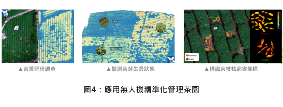 圖4：應用無人機精準化管理茶園