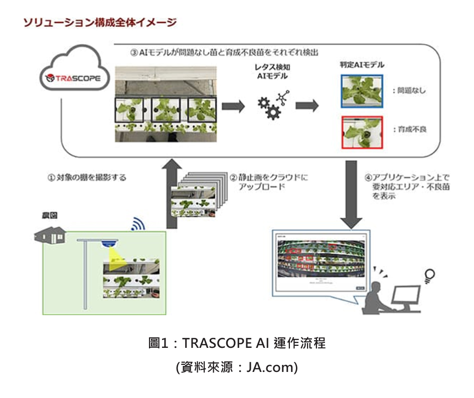 圖1：TRASCOPE AI 運作流程