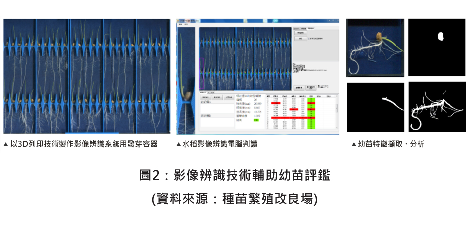 圖2：影像辨識技術輔助幼苗評鑑
