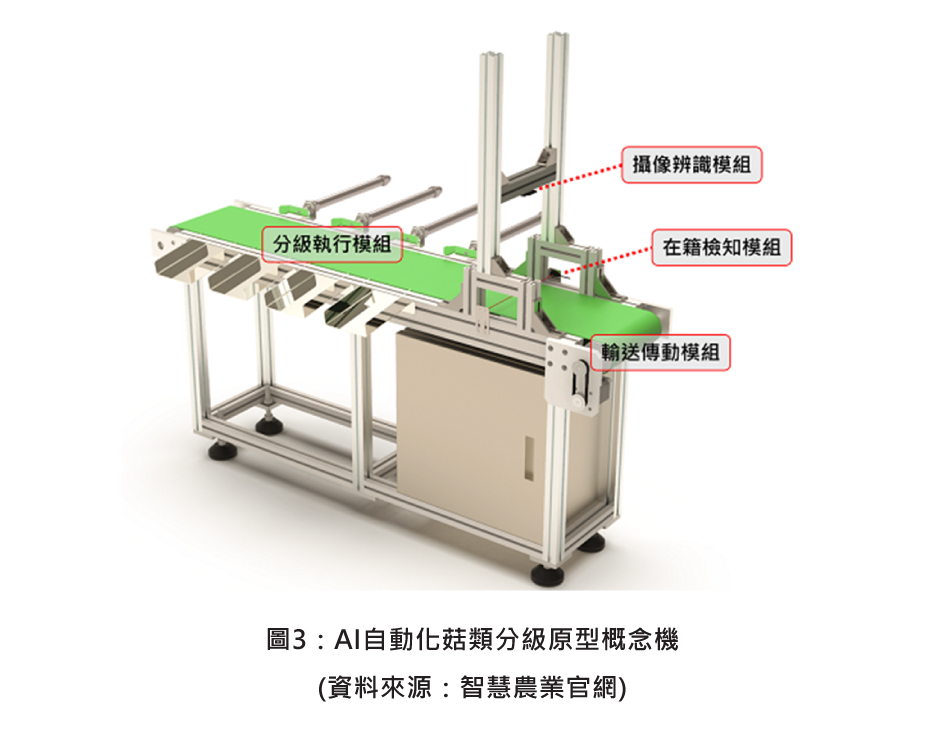 圖3：AI自動化菇類分級原型概念機