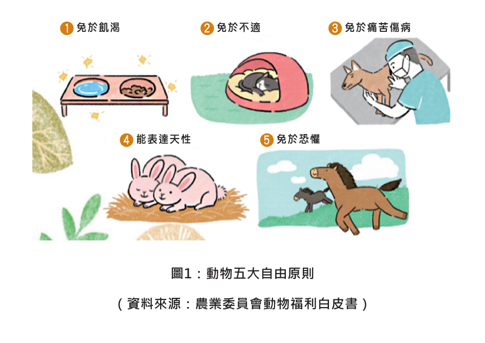 圖1：圖1：動物五大自由原則