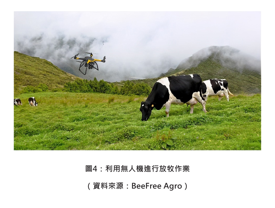 圖4：利用無人機進行放牧作業