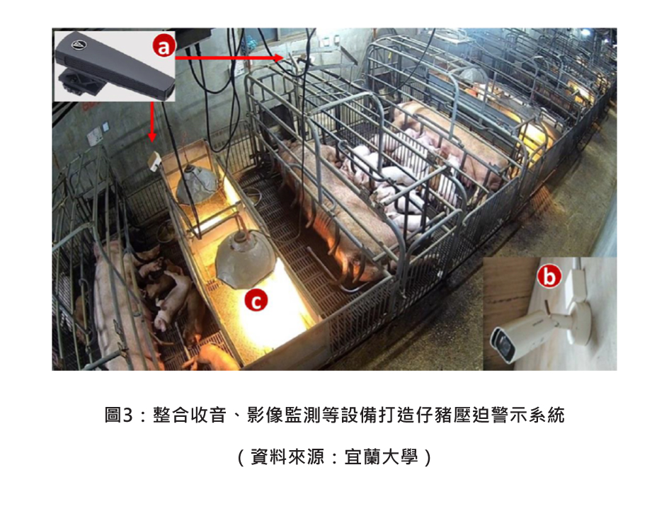 圖3：整合收音、影像監測等設備打造仔豬壓迫警示系統