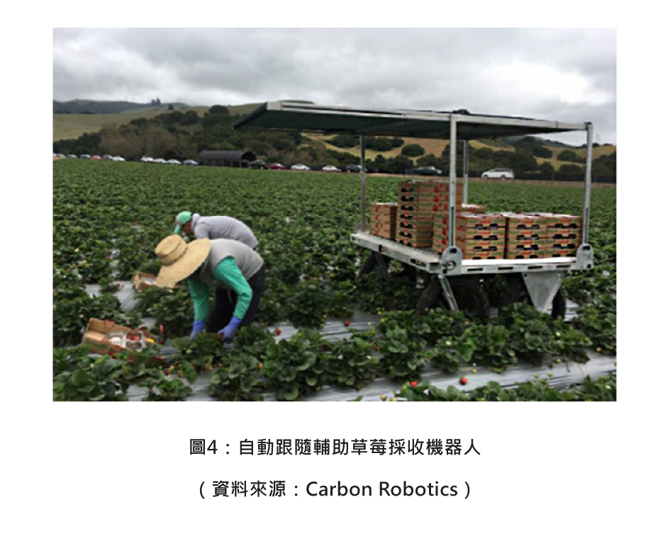 圖4：自動跟隨輔助草莓採收機器人