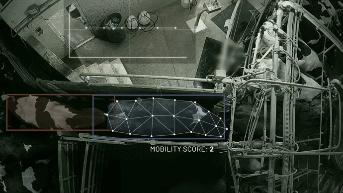 圖4：CattleEye 牛隻跛足姿態影像監測系統