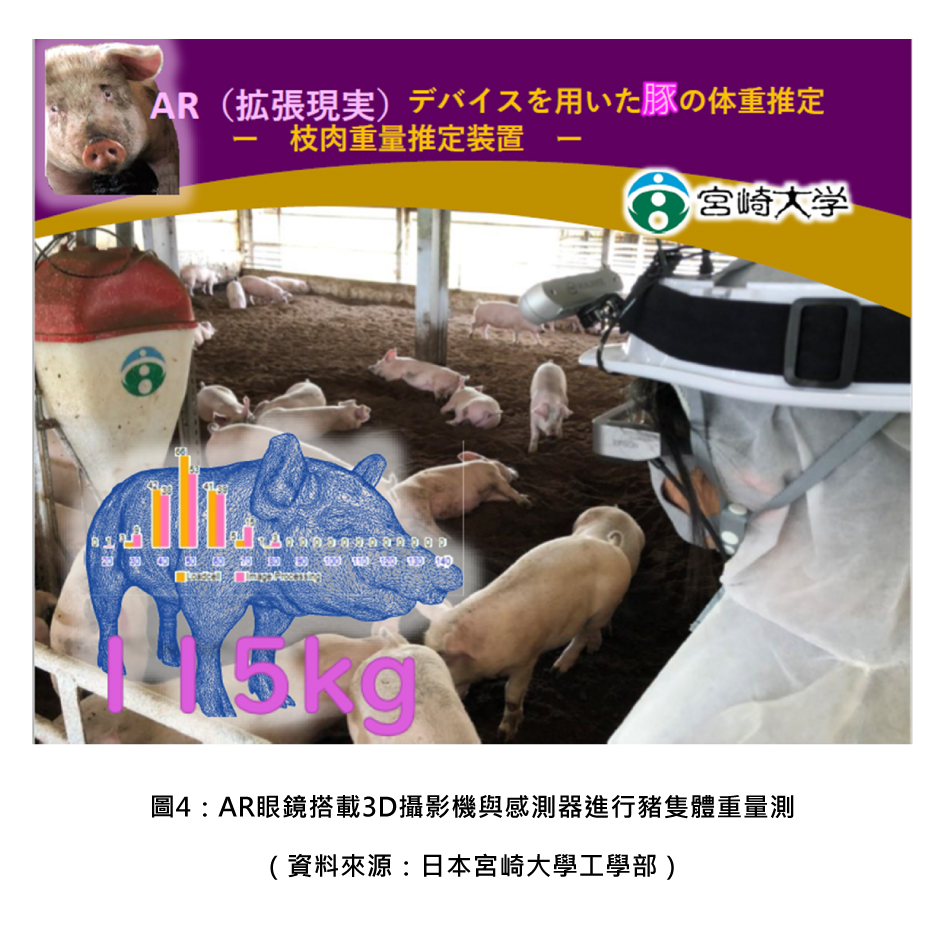 圖4：AR眼鏡搭載3D攝影機與感測器進行豬隻體重量測