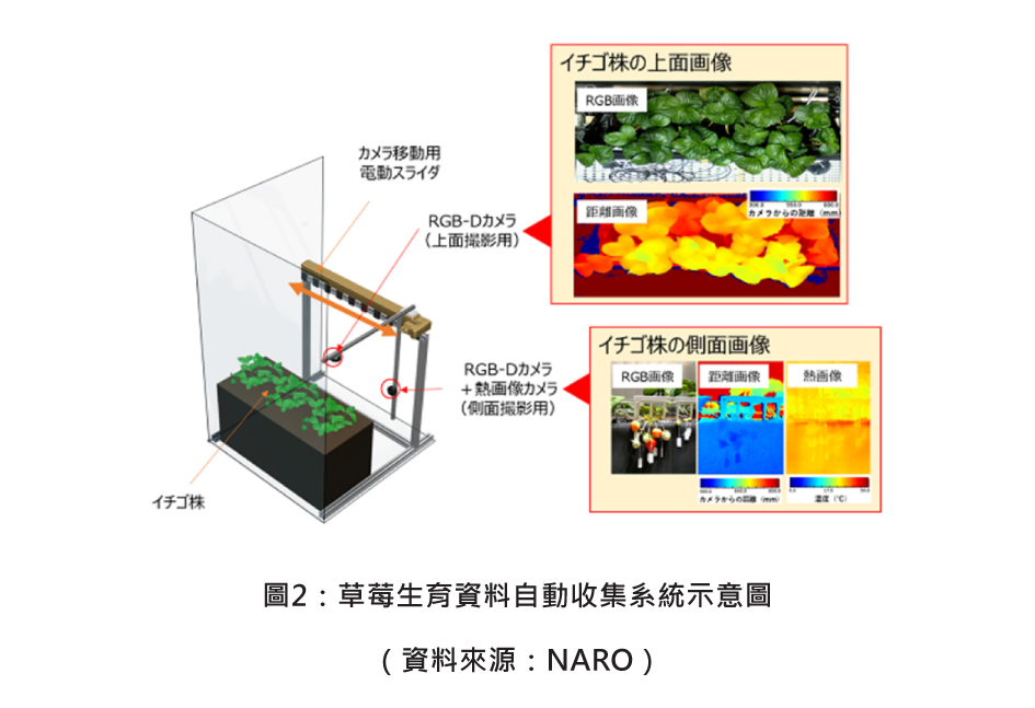 圖2：草莓生育資料自動收集系統示意圖