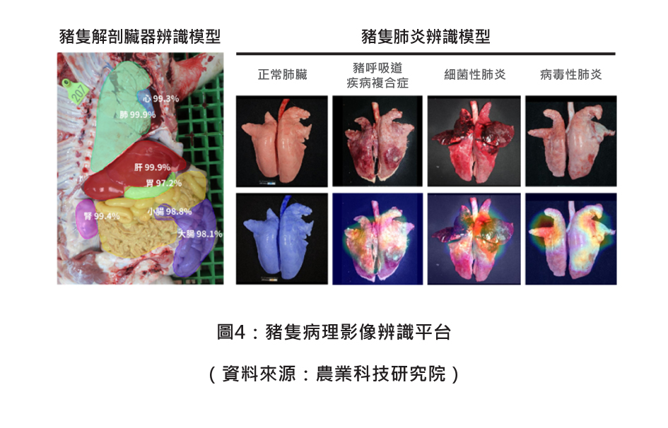 圖4：豬隻病理影像辨識平台