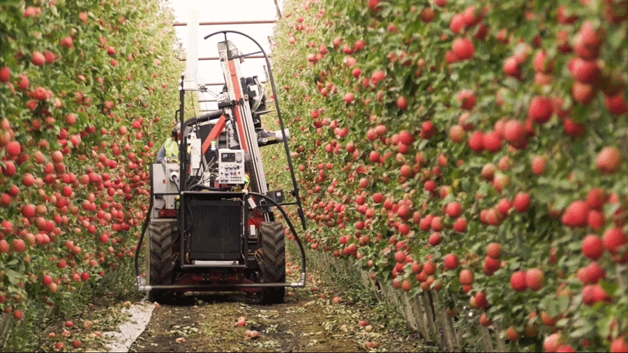 圖1：蘋果採收機器人