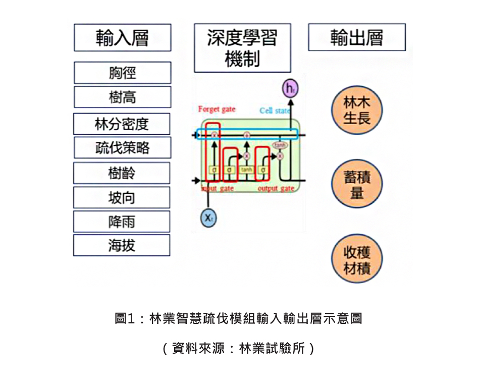 圖1：林業智慧疏伐模組輸入輸出層示意圖