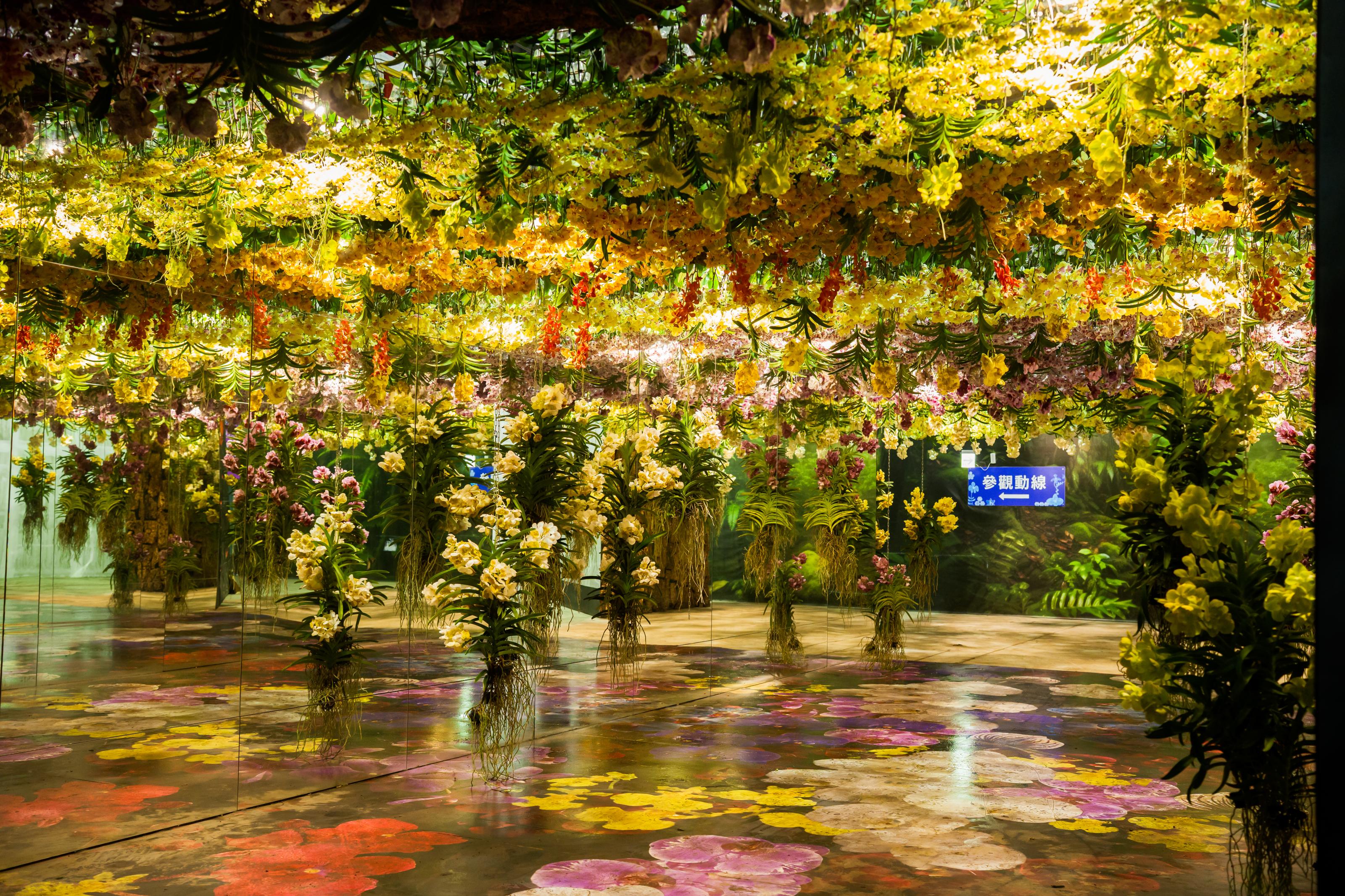 「綻放館」展現產業新世代的創意能量與設計潛力