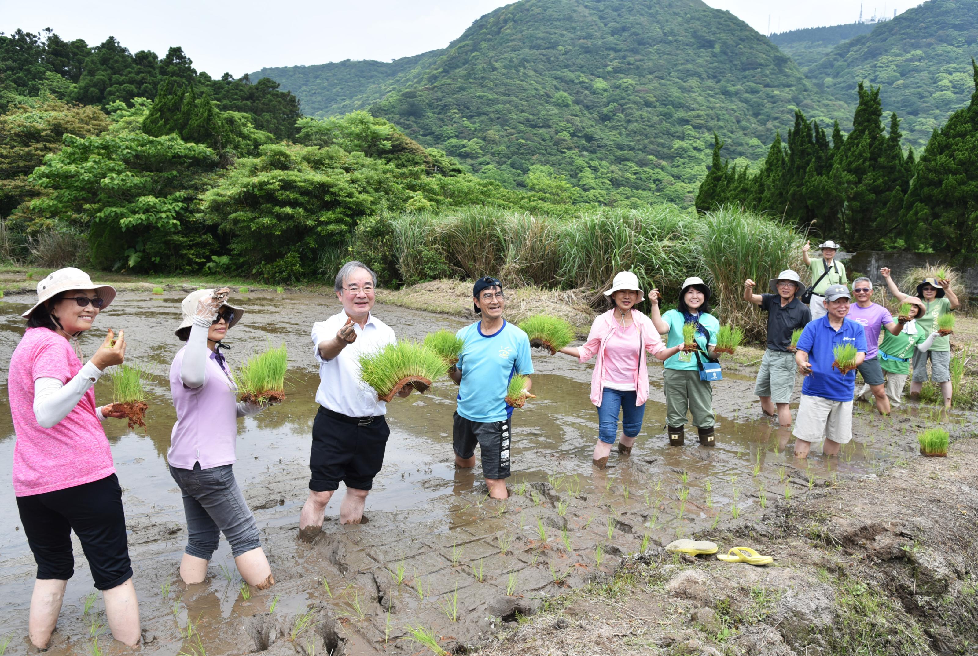 農業部胡忠一次長與磯永吉學會志工一同插植百年歷史秧苗