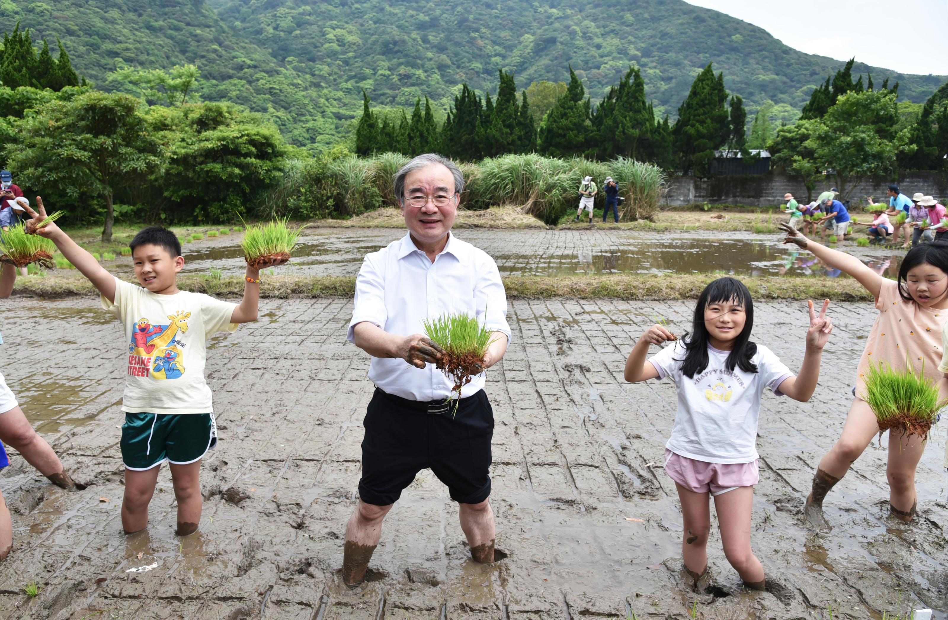 農業部胡忠一次長與陽明山湖田國小小朋友一同插植百年歷史秧苗