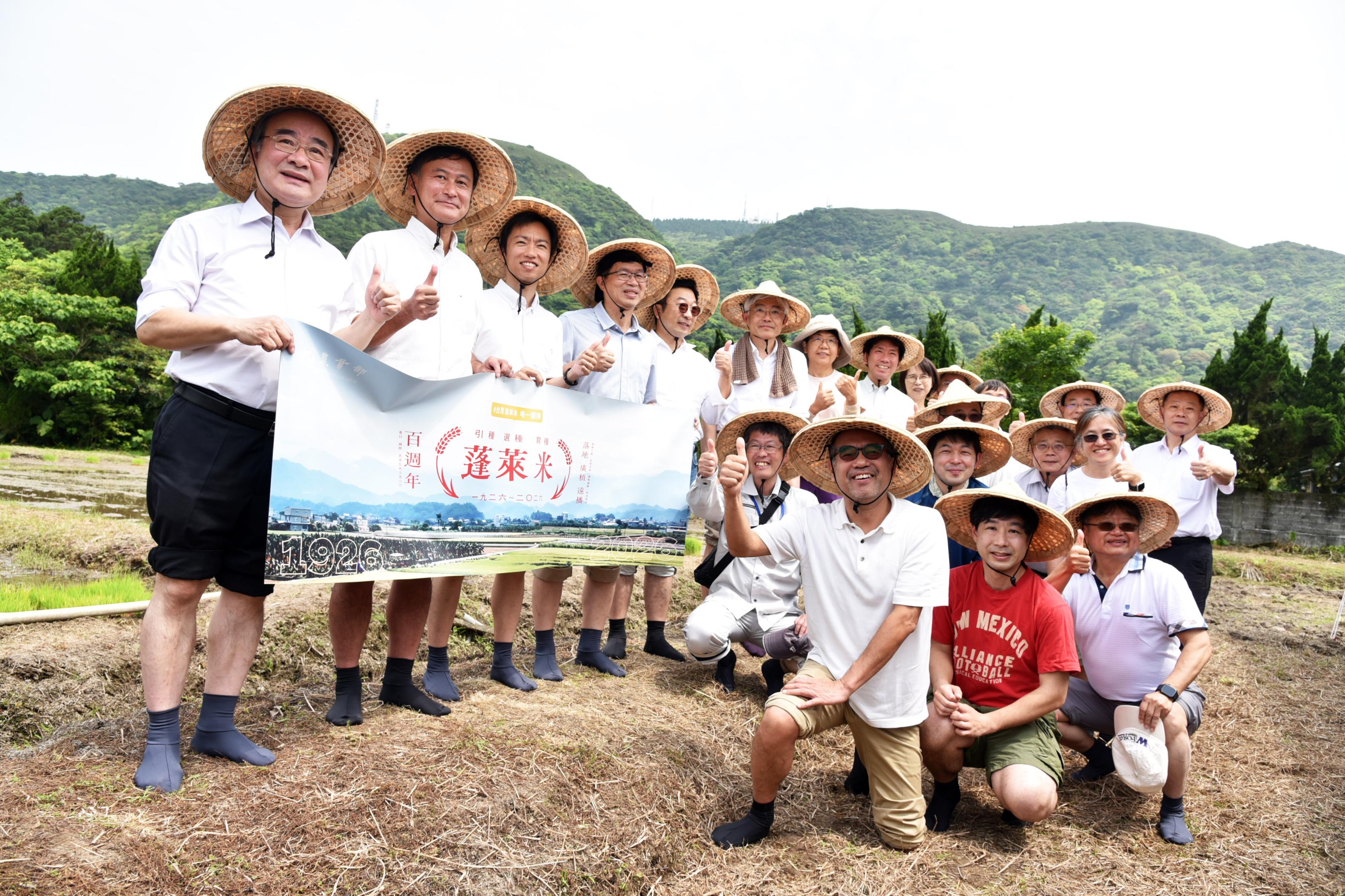 陽明山竹子胡蓬萊米原種田臺灣及日本插秧貴賓