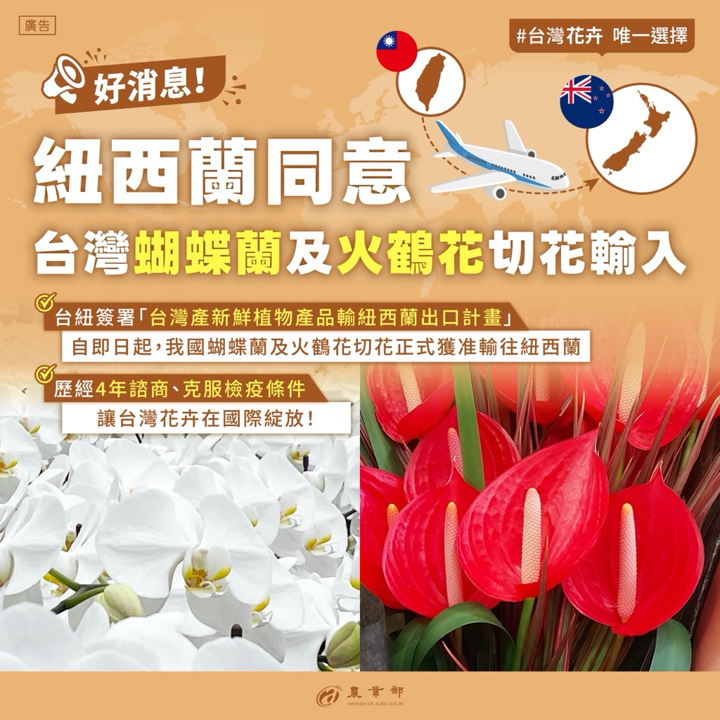 圖4_紐西蘭同意台灣蝴蝶蘭及火鶴花切花輸入
