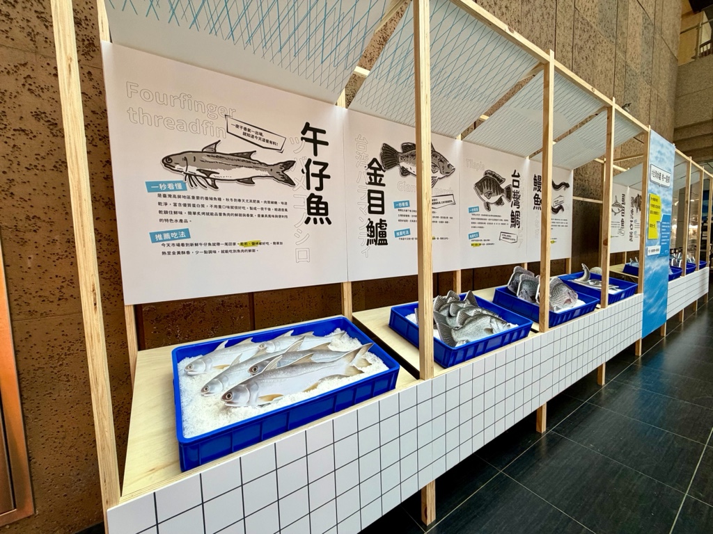 照片3_農業部於車站大廳規劃展示區,介紹台灣鯛、鰻魚、虱目魚、午仔魚、鬼頭刀、龍虎斑及金目鱸等7款魚種與推薦吃法