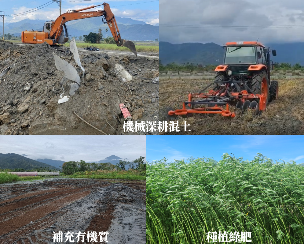 圖8. 針對受災農田推動深耕翻土、補充有機質及種植綠肥等土壤改良措施,逐步改善土壤環境、恢復農田地力,為災後復耕奠定基礎。