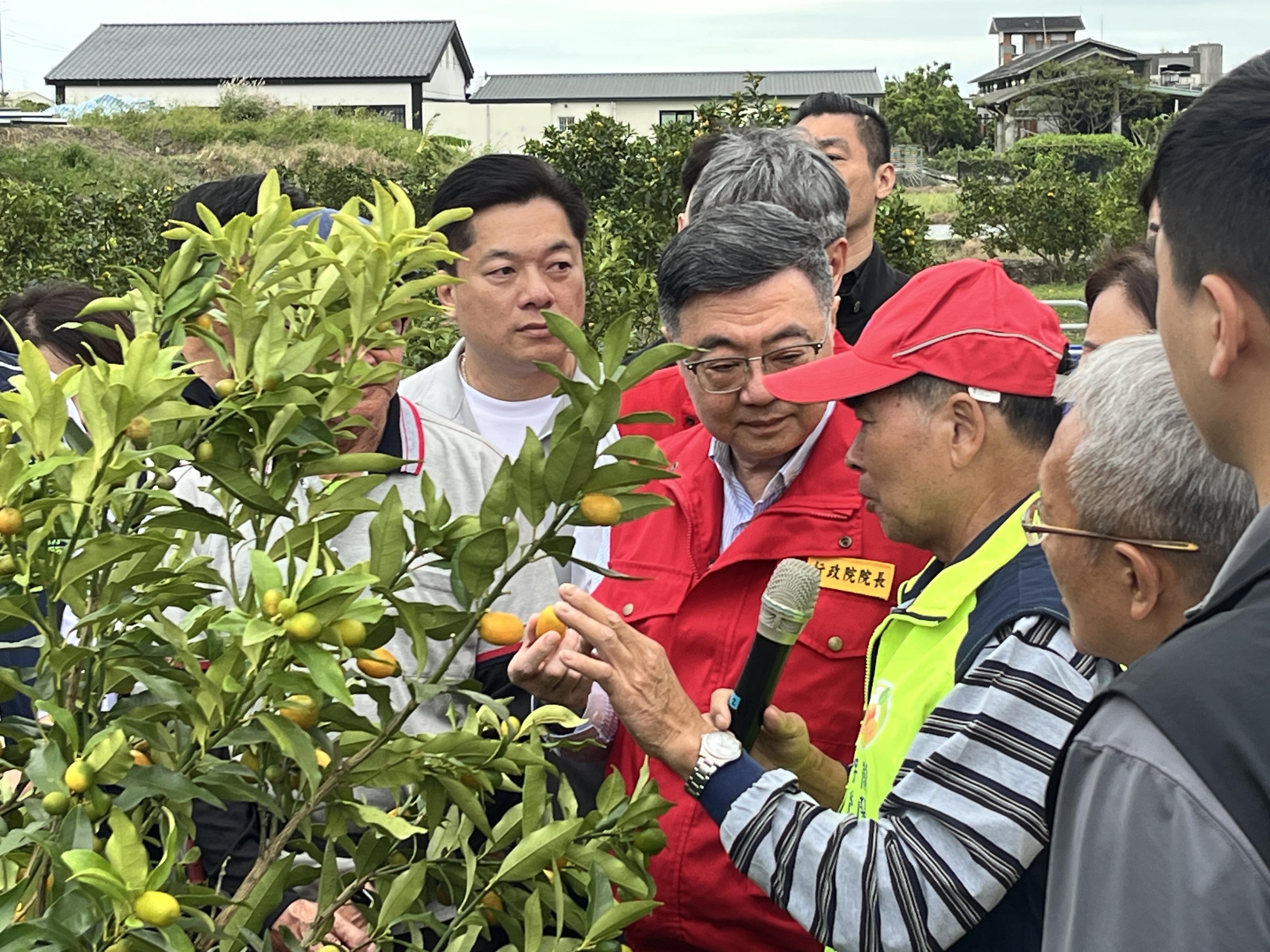 圖3_卓榮泰院長視察宜蘭縣礁溪鄉金柑受損情形