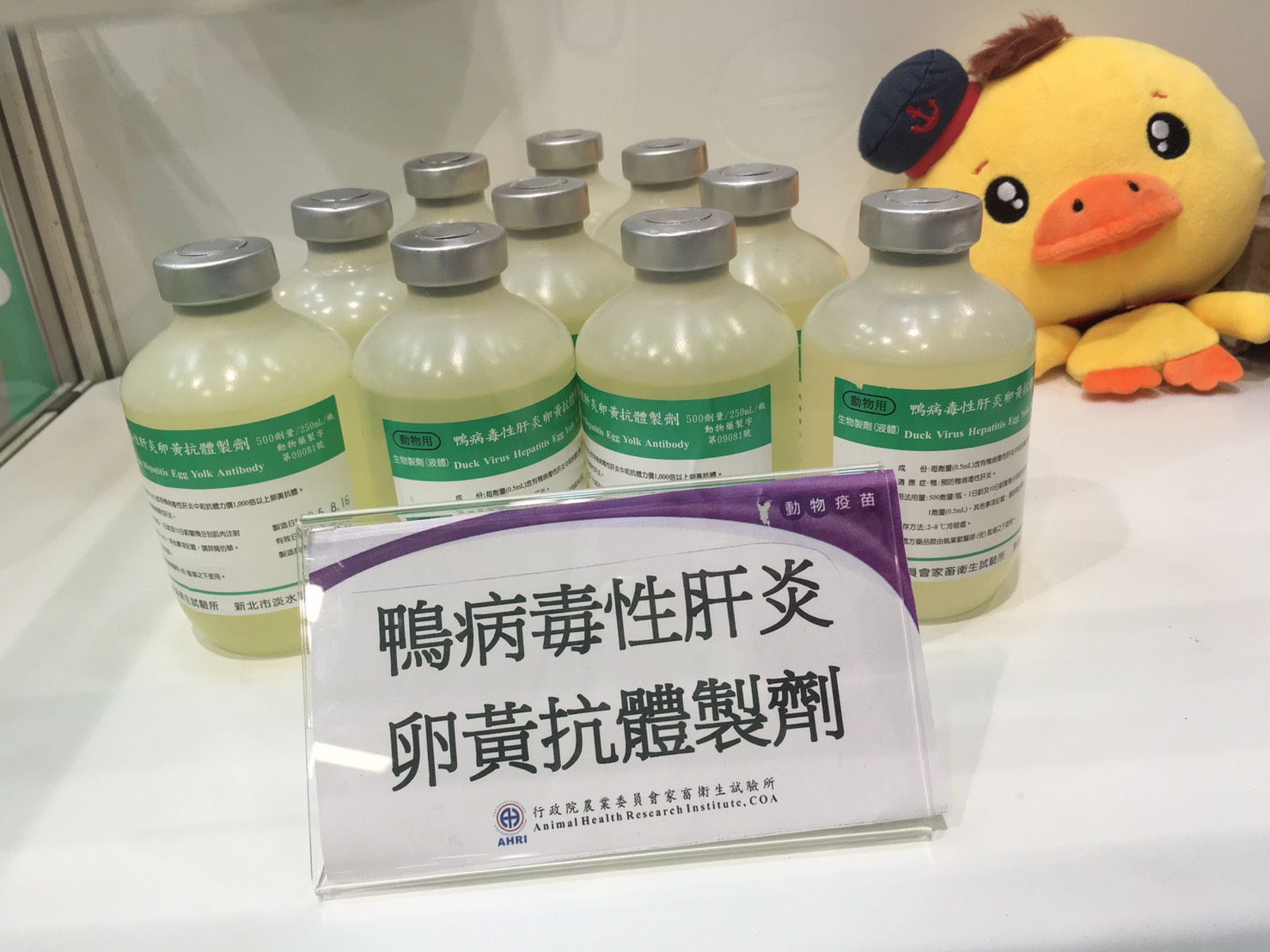 鴨病毒性肝炎軟黃抗體製劑