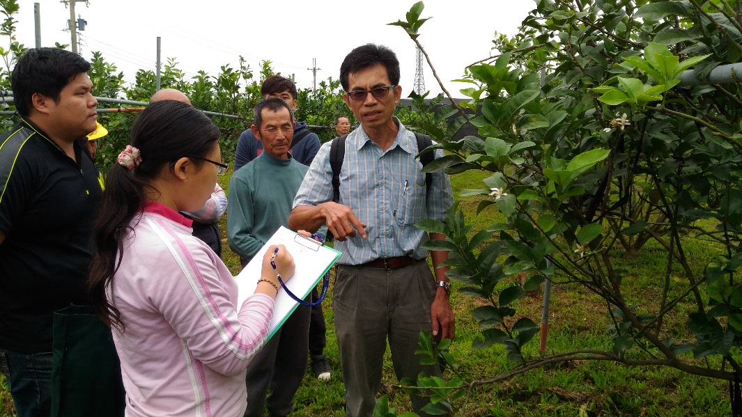 屏東科技大學植物醫學系陳文華老師帶領學生，輔導農友進行檸檬病蟲害診斷與提供管理建議