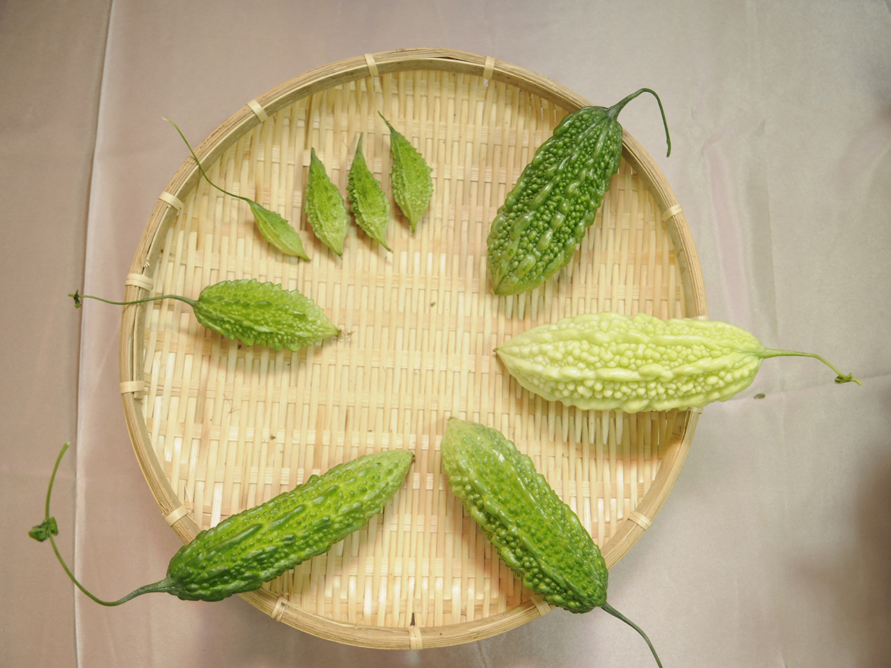 苦瓜１號至６號