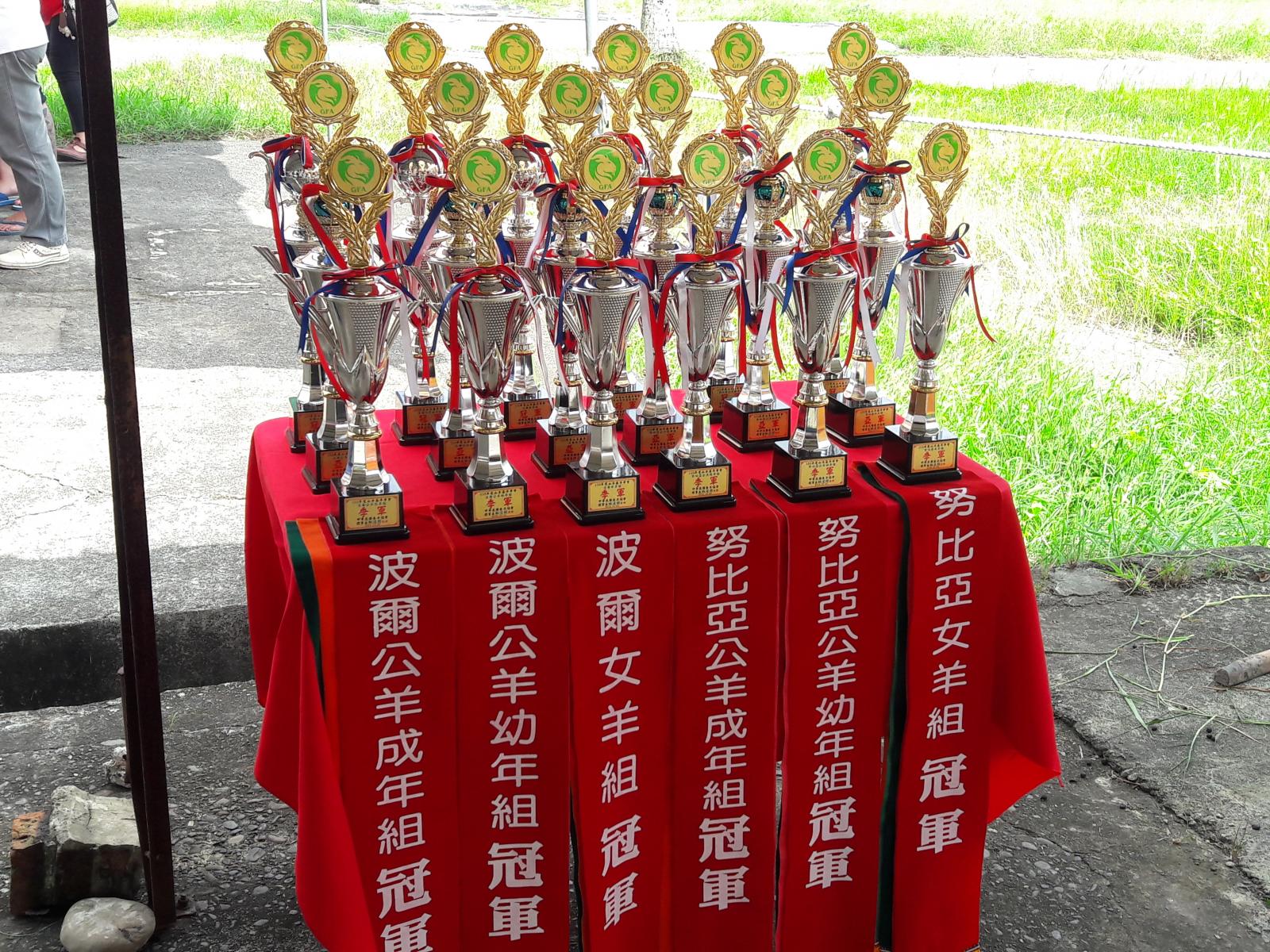 評選競賽頒發獎牌