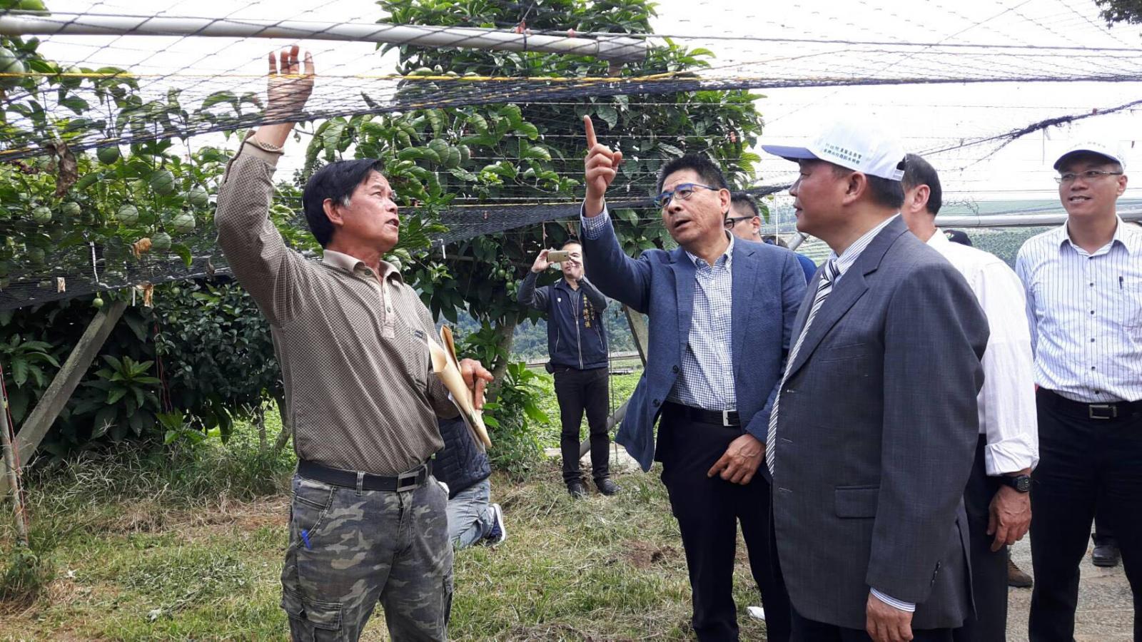 農委會林聰賢主委前往附近百香果園實地勘察旱灌設施及關注農友百香果產量、收益等相關情形