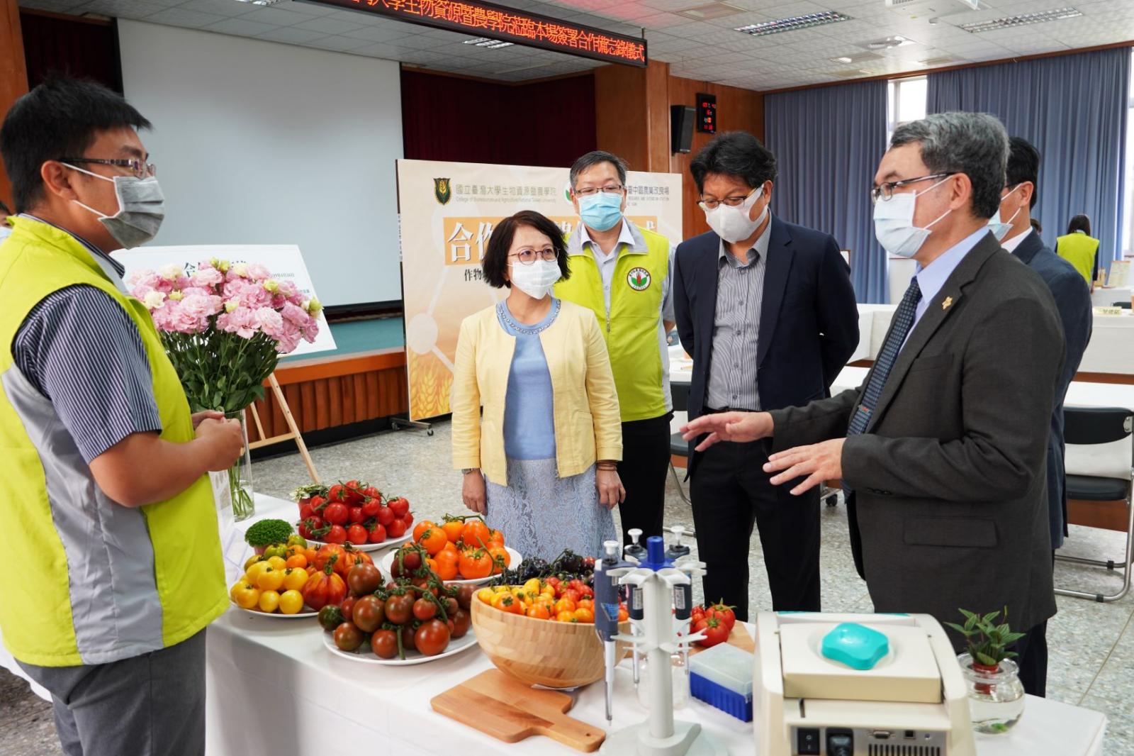 臺中農改場引進不同番茄種原，研究人員與臺大生農學院院長盧虎生(右1)及食科所所長潘敏雄(右2)商討未來合作運用新科技，突破育種瓶頸。