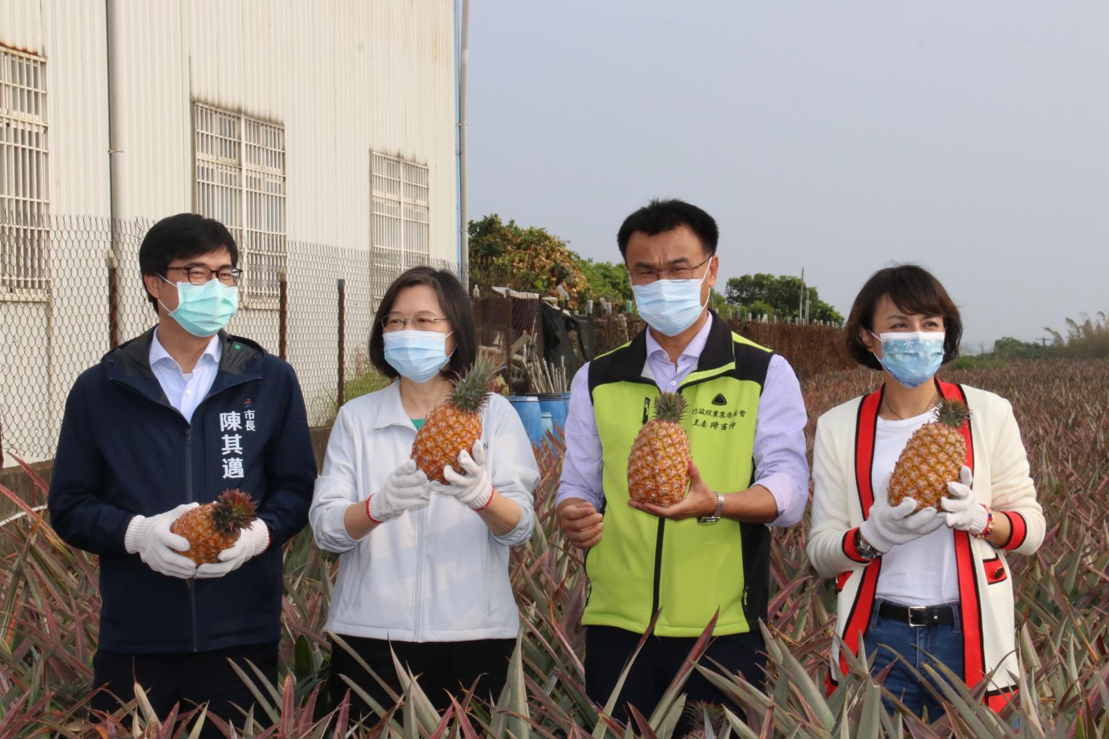 國產鳳梨，量質均優，歡迎國人多加選購