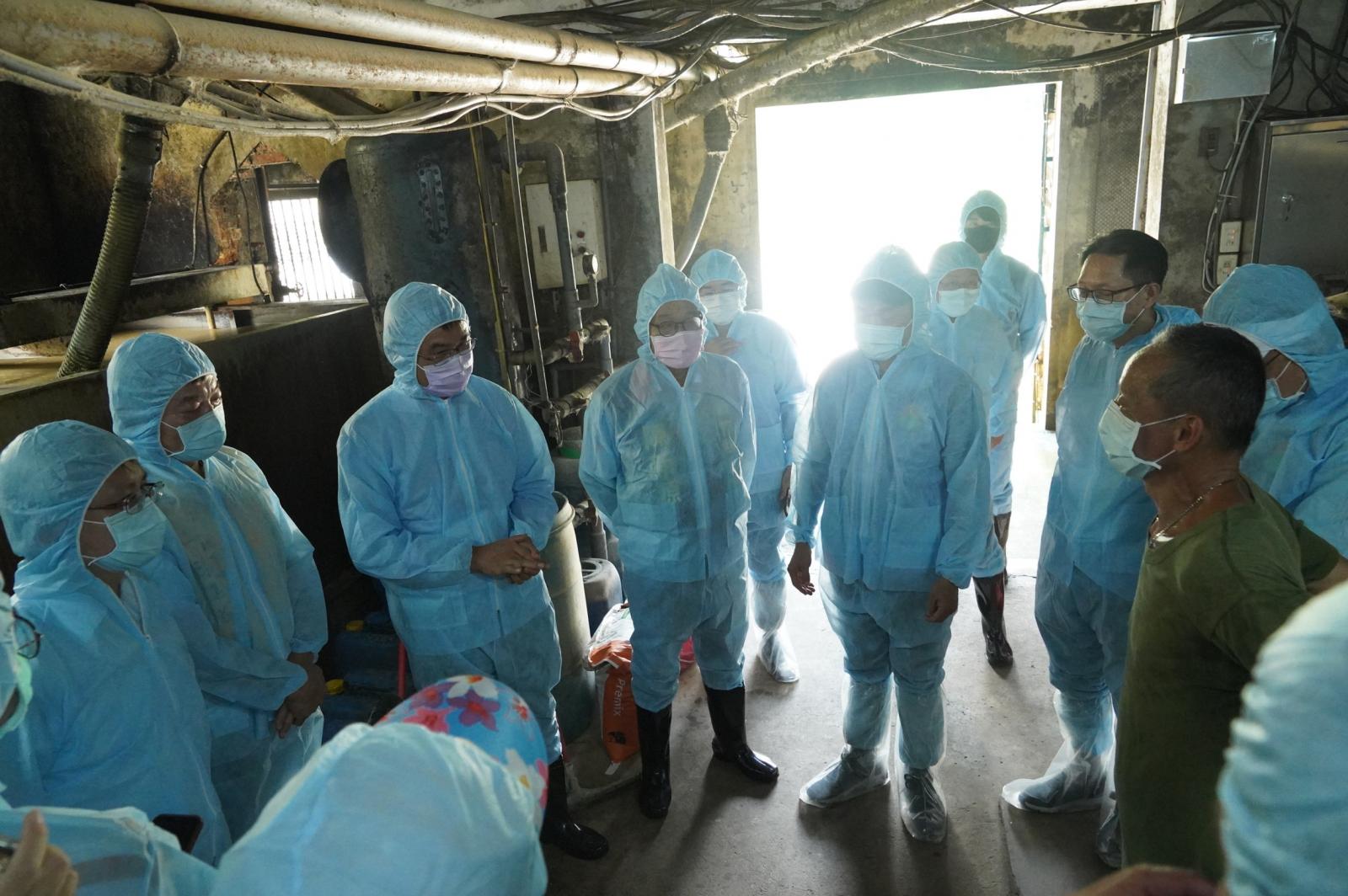 非洲豬瘟中央災害應變中心指揮官陳吉仲視察新竹縣新埔鎮范光宇養豬場停用廚餘養豬情形