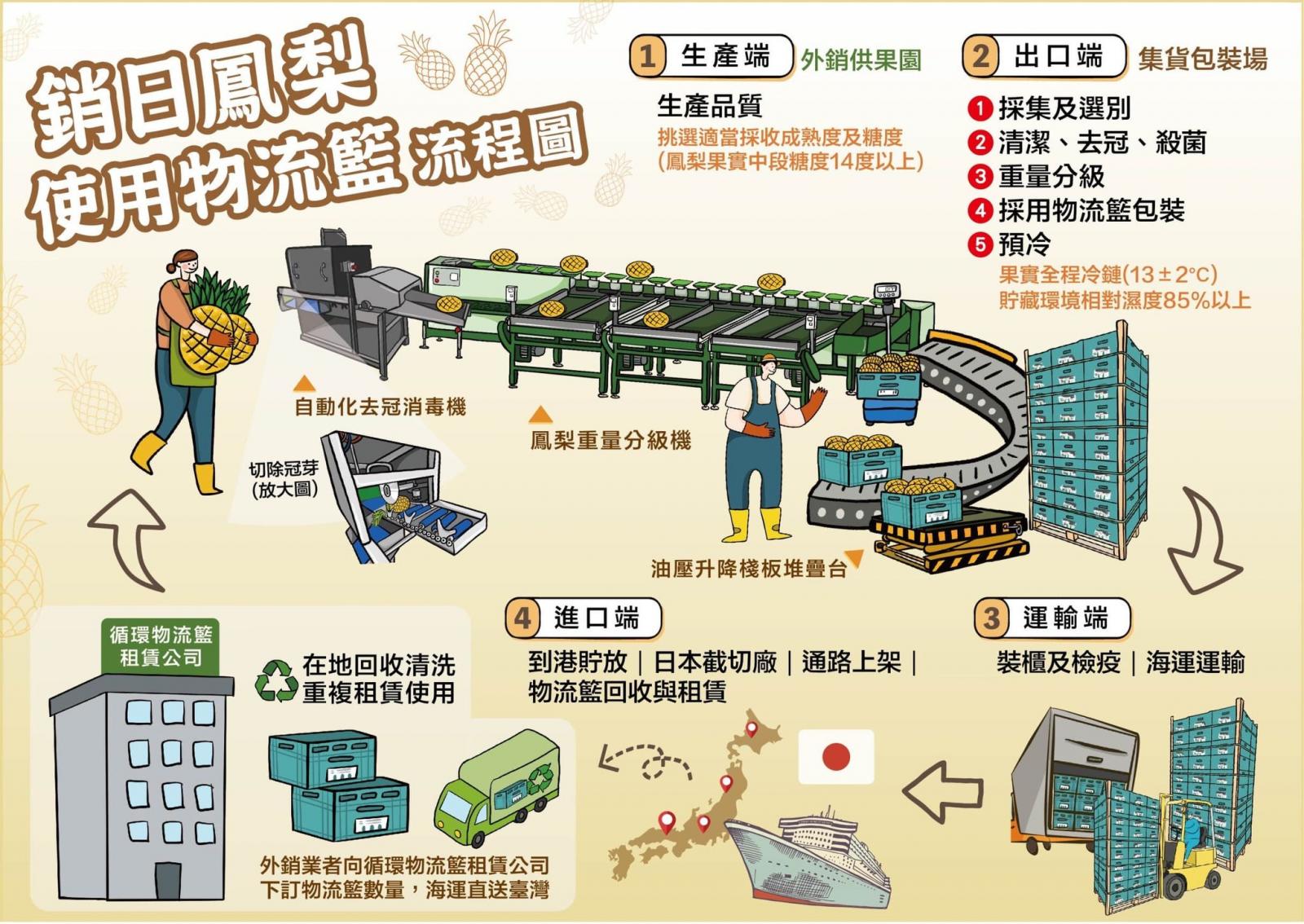 輸日鳳梨使用物流籃流程圖。