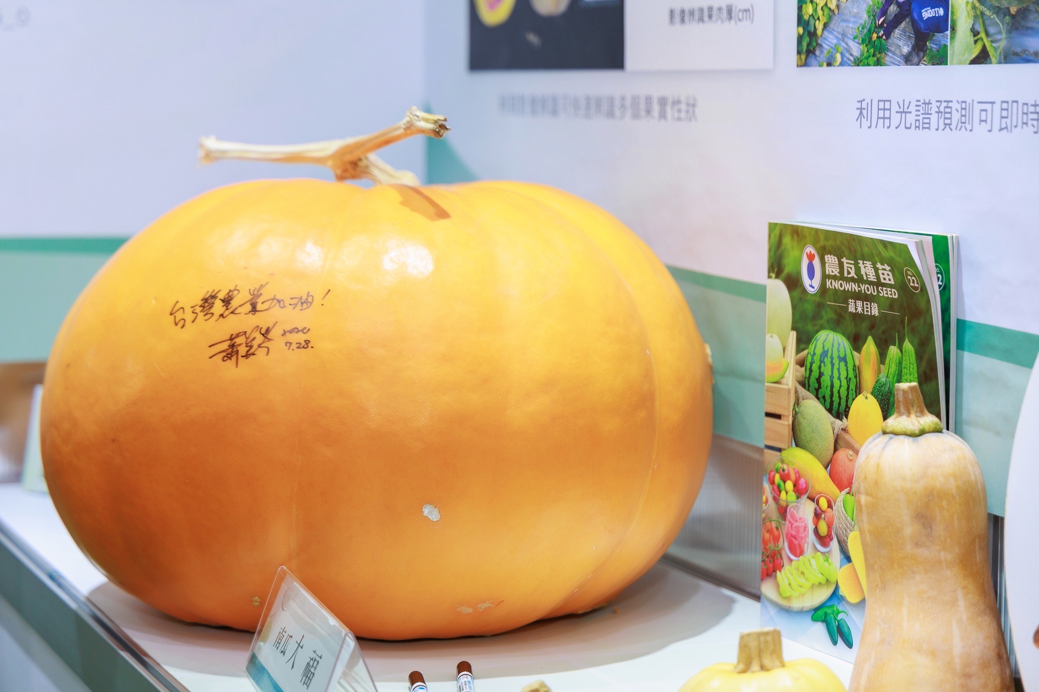 「2024亞洲生技大展-農業科技館」展出超過30公斤的大南瓜令現場參觀民眾印象深刻。