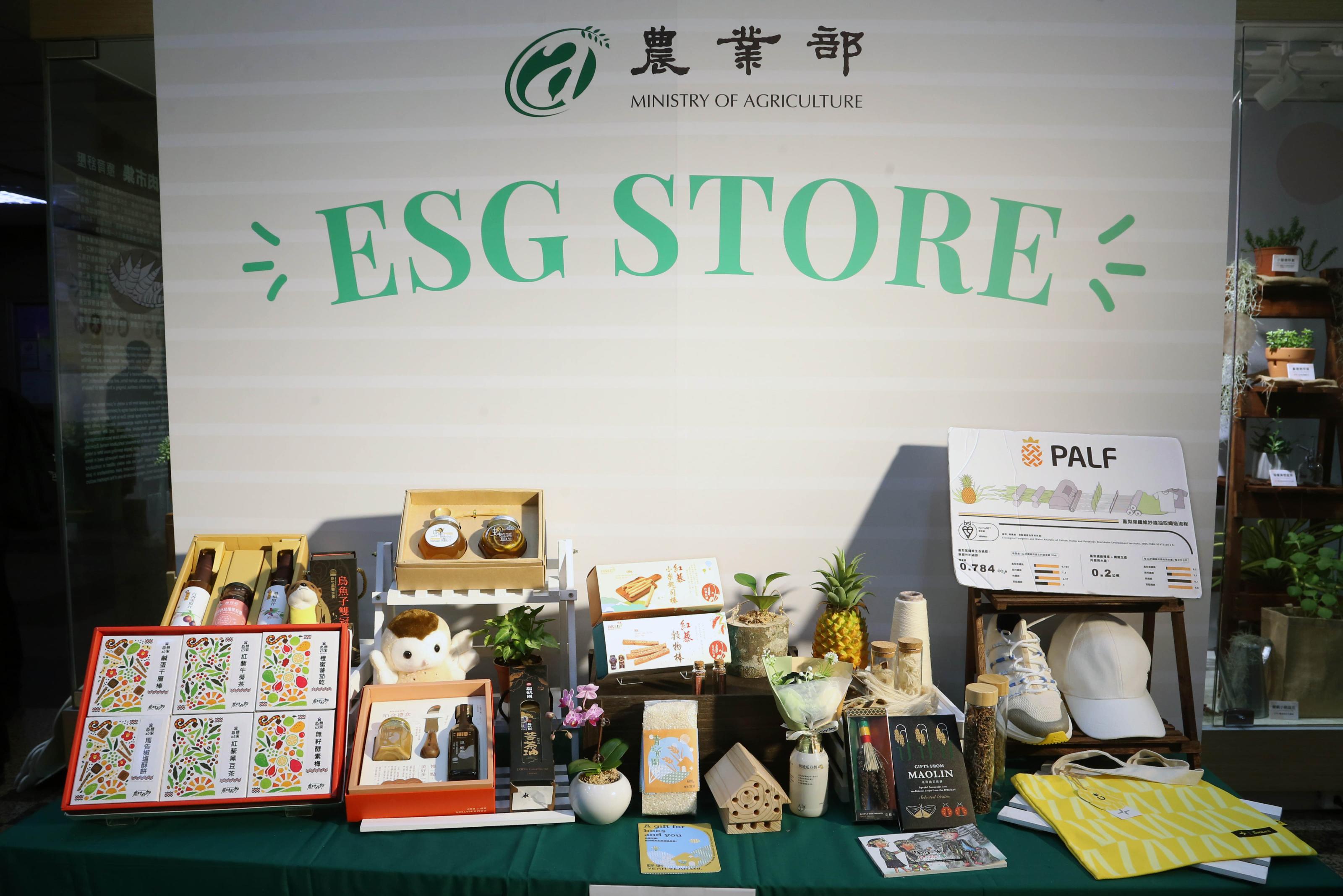 成果展示