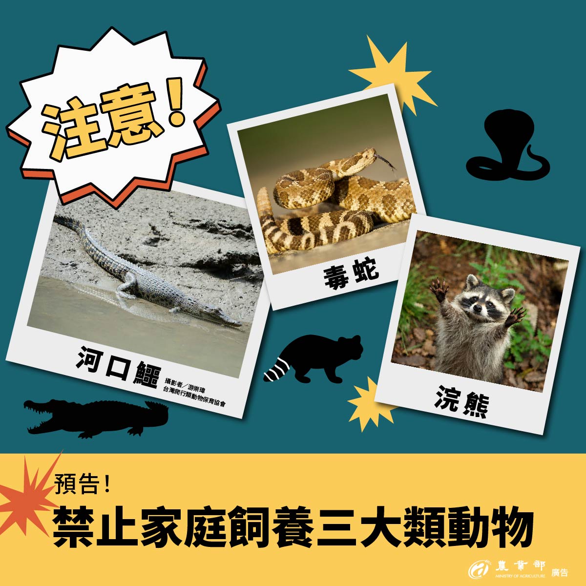 251009禁止飼養懶人包-01