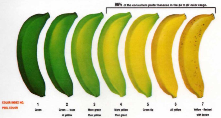 國際香蕉果皮轉色卡