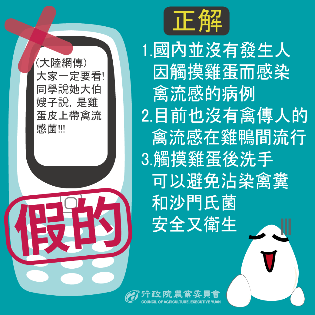 摸雞蛋不會得禽流感圖片說明