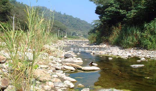 五棚坑下游良好親水遊憩段