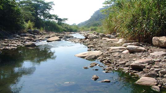 阿冷坑下游良好親水遊憩段