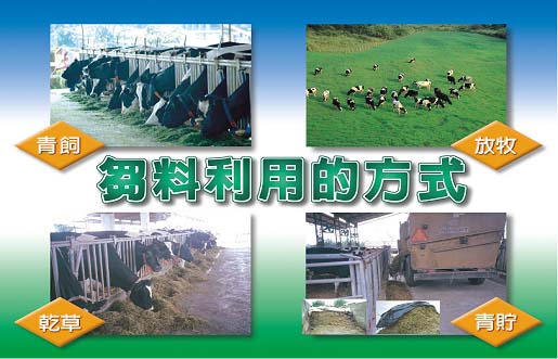 圖3 芻料利用之方式