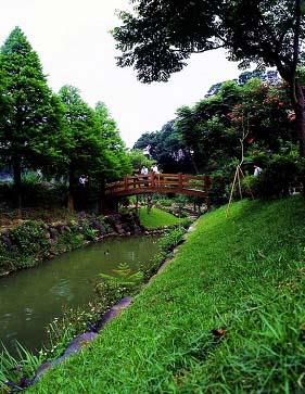 圖2　整治後綠美化之野溪