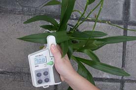 圖1 盆栽作物葉綠素偵測系統