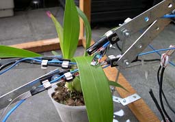 圖2 量測與建立葉片氣孔分布資料，以作為頁面施肥依據