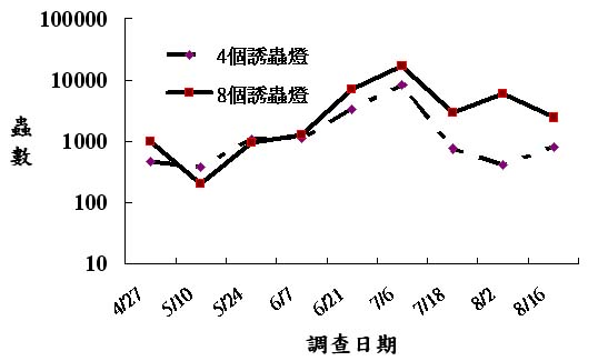 圖4 燈光誘殺器在莿桐農會進口糙米倉之害蟲誘殺量調查