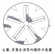 左圖  茶葉在滾筒攪拌示意圖
